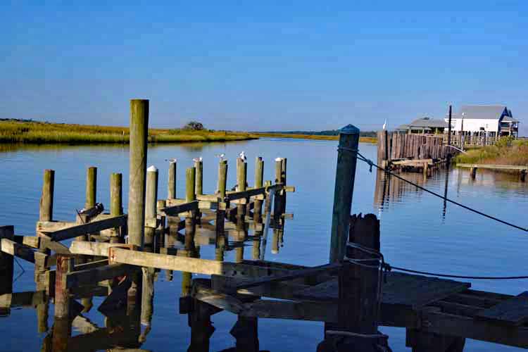 bayou